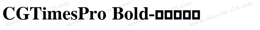 CGTimesPro Bold字体转换